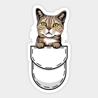 Funny Tabby Pocket Cat Sticker